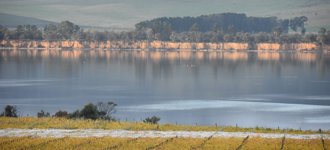 Riversdale Estate Scenery